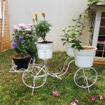 Taman Depan Rumah Dengan Pot Bunga Yang Keren