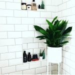 Dekorasi Kamar Mandi Dengan Rak Tanaman Cantik